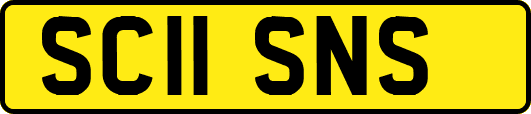 SC11SNS