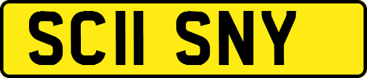 SC11SNY