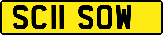 SC11SOW