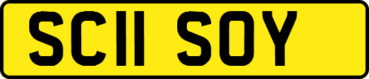 SC11SOY