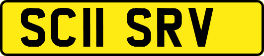 SC11SRV