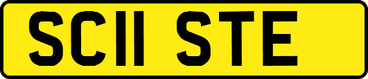 SC11STE