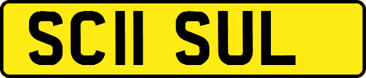 SC11SUL
