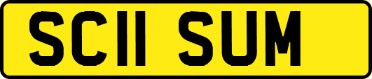 SC11SUM