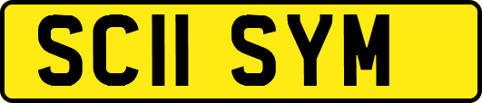 SC11SYM