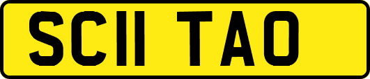 SC11TAO