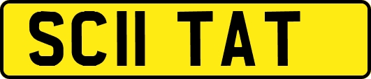 SC11TAT