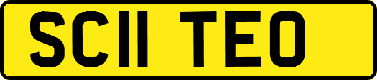 SC11TEO