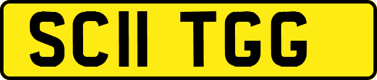 SC11TGG