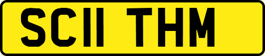 SC11THM