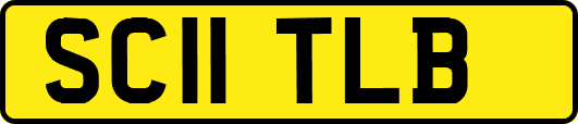 SC11TLB