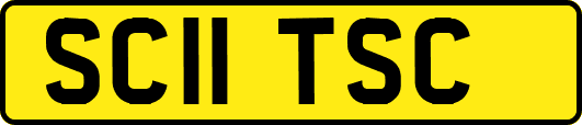 SC11TSC