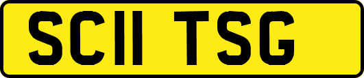 SC11TSG