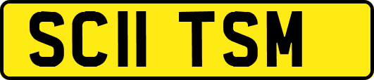SC11TSM