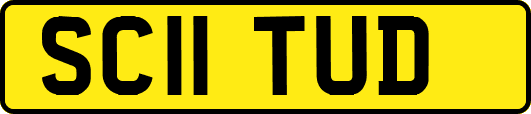 SC11TUD