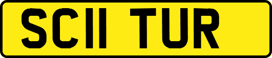SC11TUR