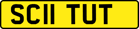 SC11TUT
