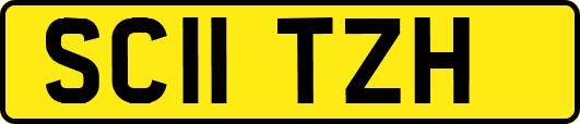SC11TZH