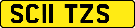 SC11TZS