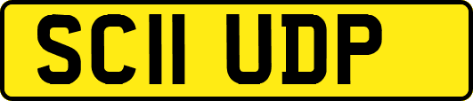 SC11UDP