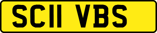 SC11VBS
