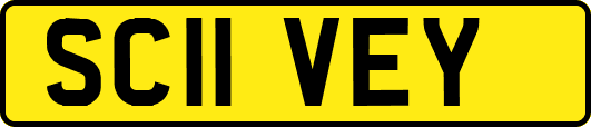 SC11VEY