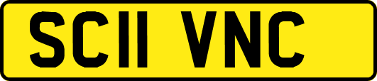 SC11VNC
