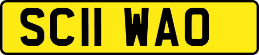 SC11WAO