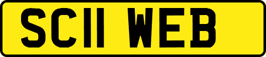 SC11WEB