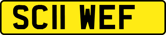 SC11WEF