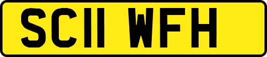 SC11WFH