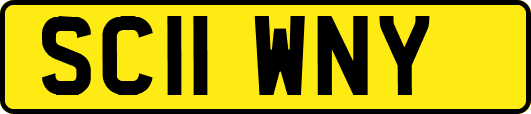 SC11WNY