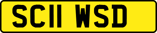SC11WSD