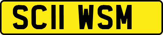 SC11WSM