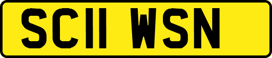 SC11WSN