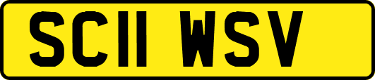 SC11WSV