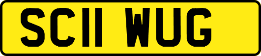 SC11WUG