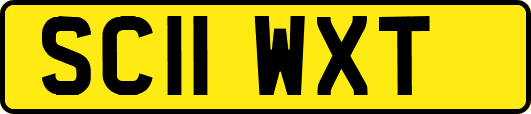 SC11WXT