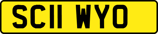 SC11WYO