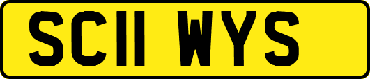 SC11WYS