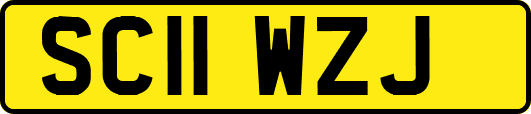 SC11WZJ