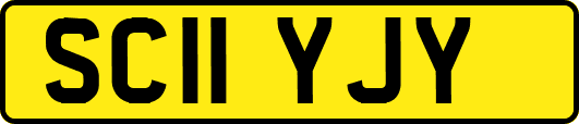 SC11YJY