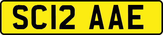 SC12AAE