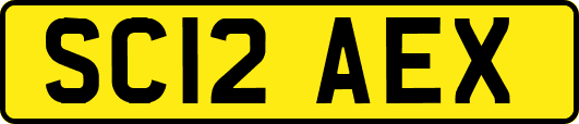 SC12AEX