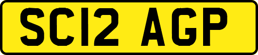 SC12AGP