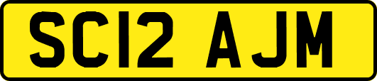 SC12AJM