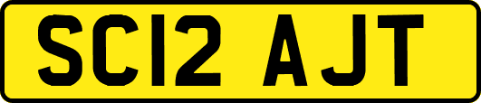 SC12AJT