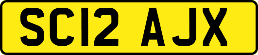 SC12AJX