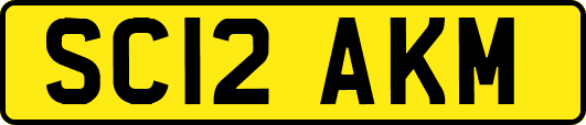 SC12AKM