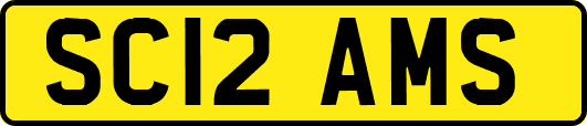 SC12AMS